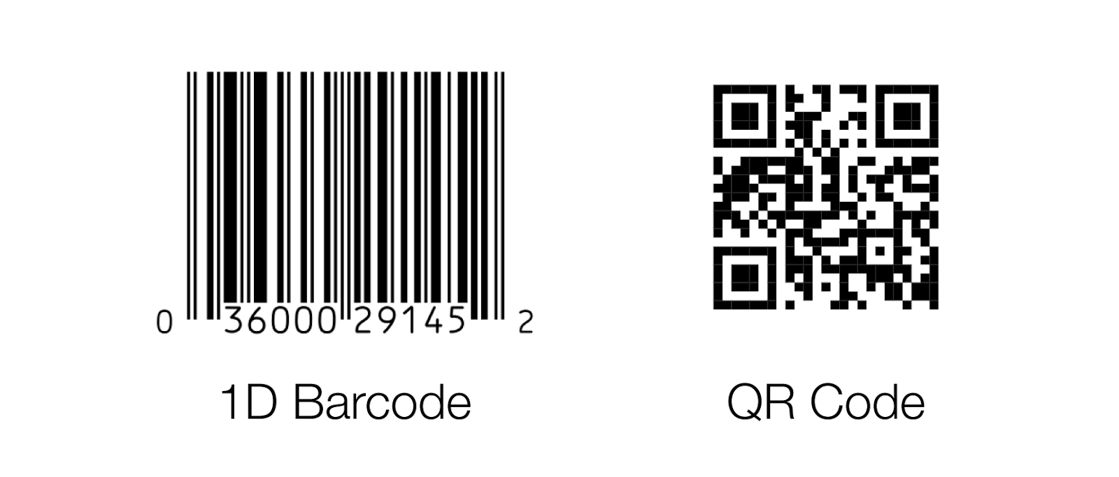 qrcode and barcode
