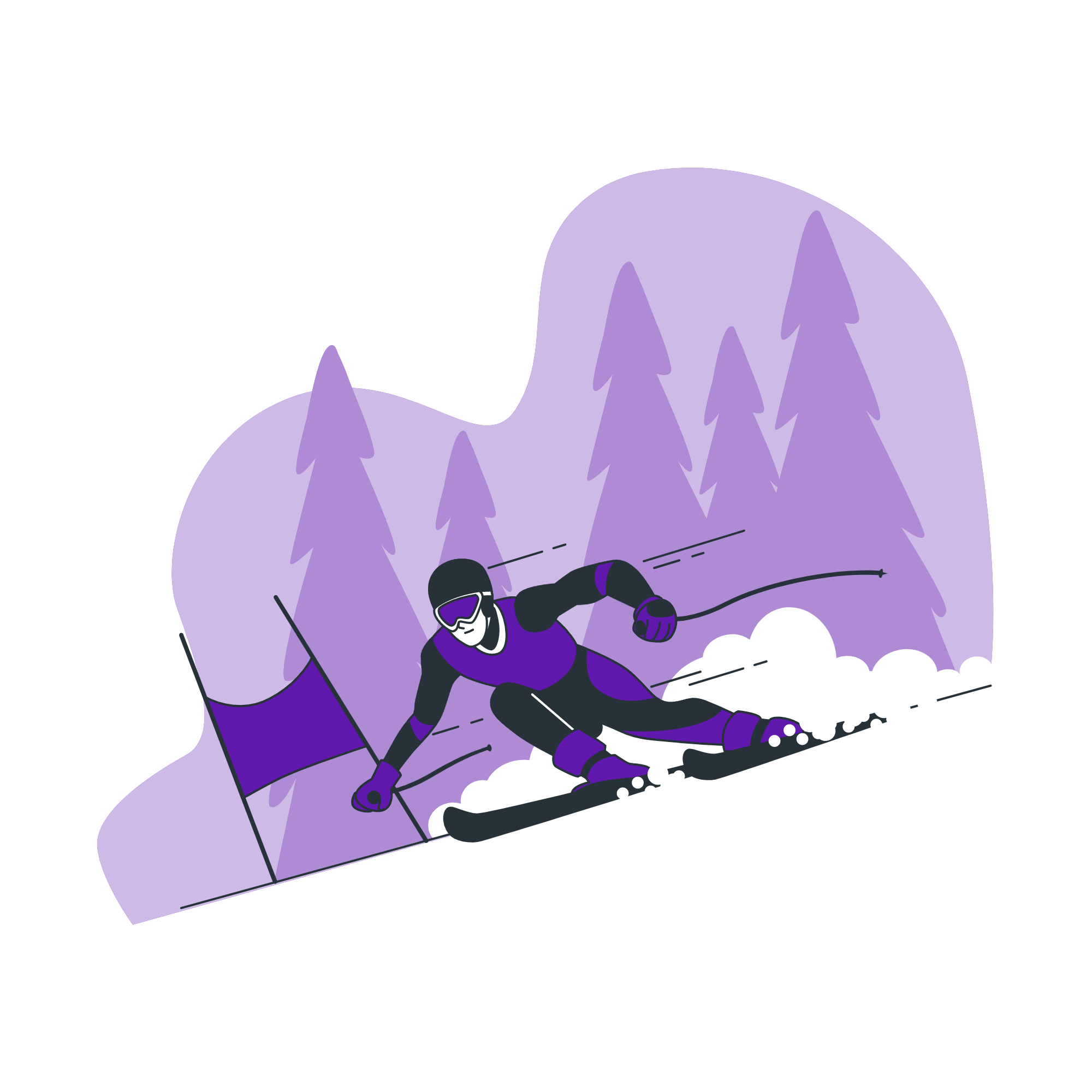 ski rental software