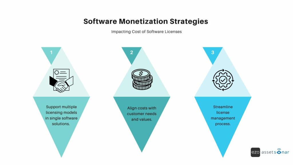 software monetization - software license cost models